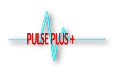 Pulse Plus+ - Day Care Opportunities